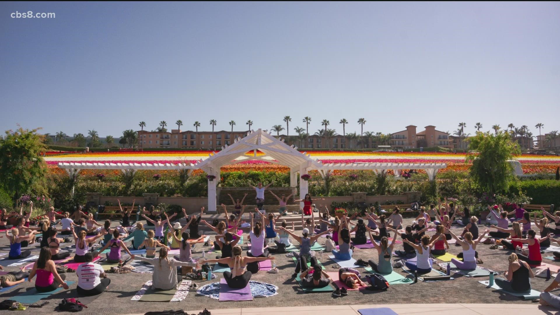 Owner of Yoga Jawn, Jacqueline Brooker and two yoga models talked about the classes and what it is like teaching yoga at such a unique location.