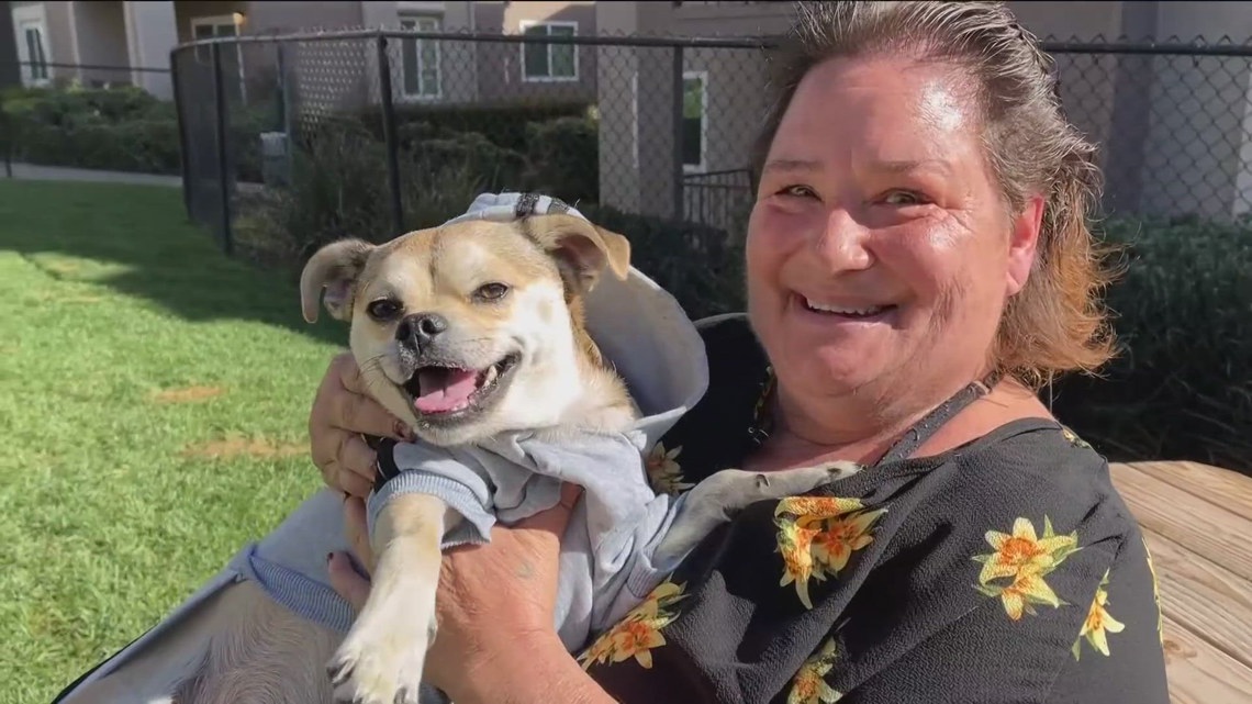 San Diego woman finds her lifeline in a rescue dog