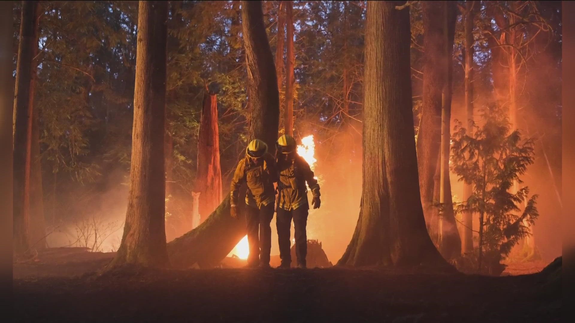 A tease of what to expect on the new hit show 'Fire Country' airing on CBS 8.