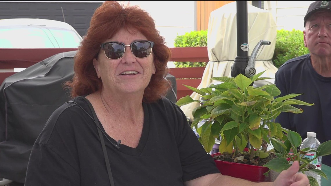 Oceanside residents can stay after fighting eviction - Vimarsana News
