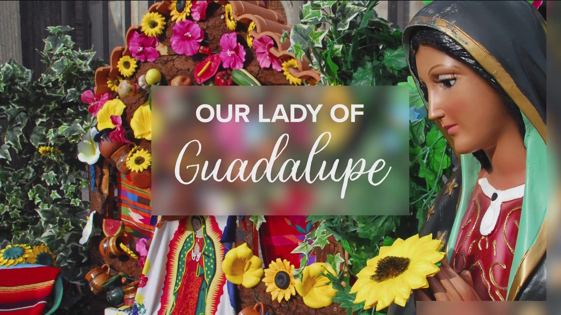 It was December 12 1531 when the Virgin Mary first appeared in Mexico, telling Juan Diego to build a church - providing the belief in miracles, from that day on.