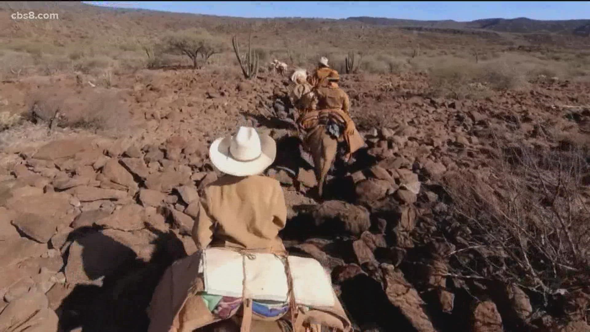 The documentary reenacts the history of the mule pack train in Baja California Sur, Mexico. A traditional saddle maker traveled 20 days herding a pack of donkeys.