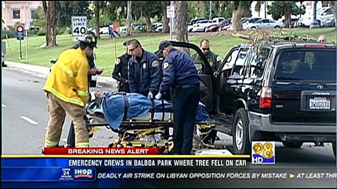 Family escapes harm as big tree branch crashes onto SUV | cbs8.com