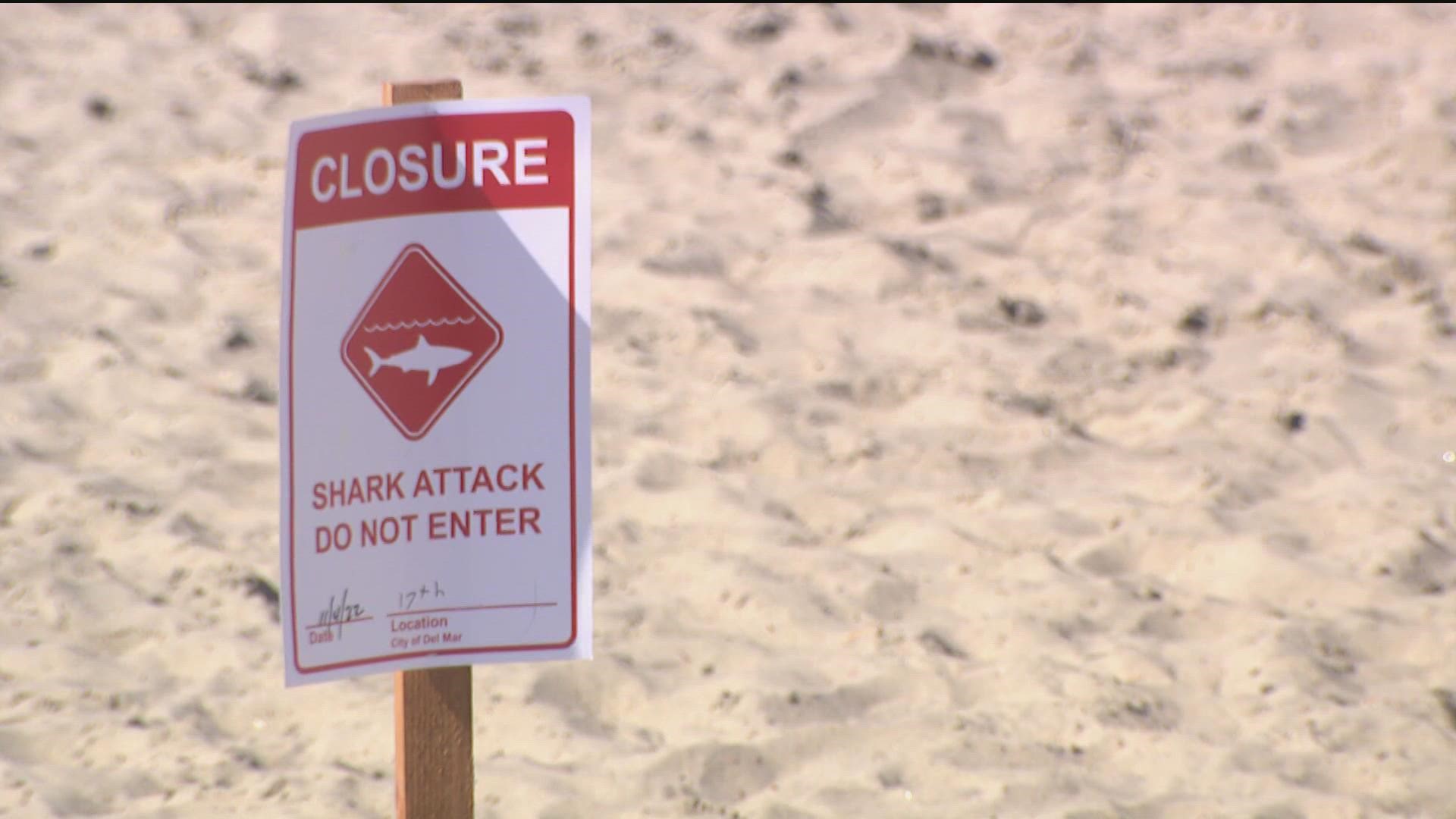 Lifeguards cleared the beach after a female swimmer was treated with non-fatal injuries Friday around 10 a.m.