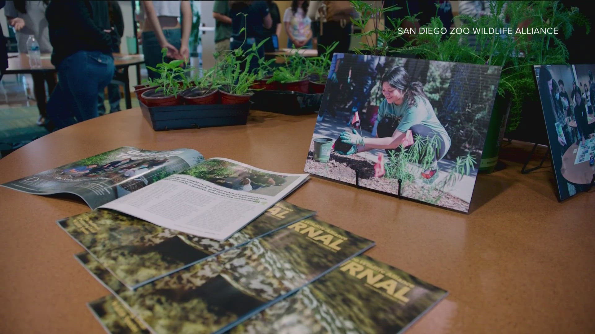 60 students from Crawford, Hoover & City Heights spent up to 20 hours a month this school year creating native plant gardens in their community.