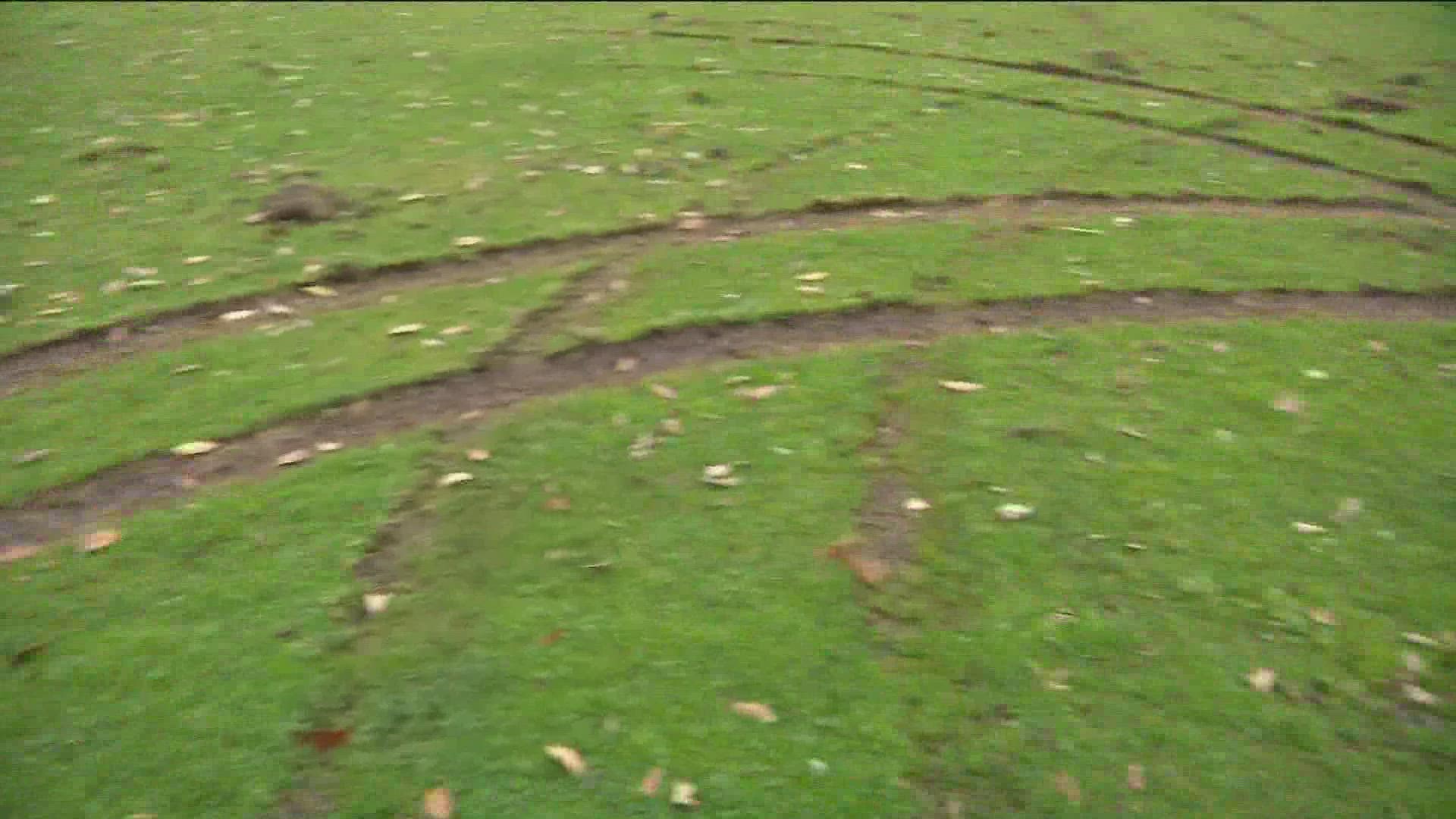 Tire marks where left behind by someone who drove their car onto the field, tearing up the grass.