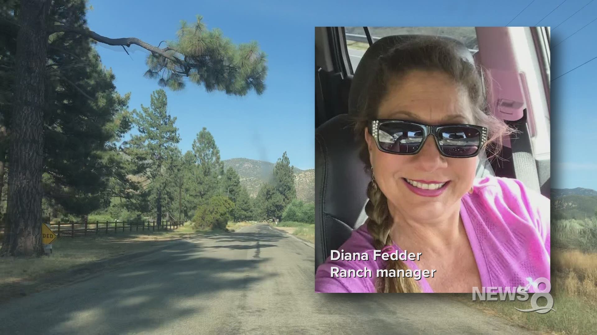 Diana Fedder's extended interview clips, reaction to probate petition filed by the family of Dia Abrams, who went missing from her ranch near Idyllwild in June 2020.