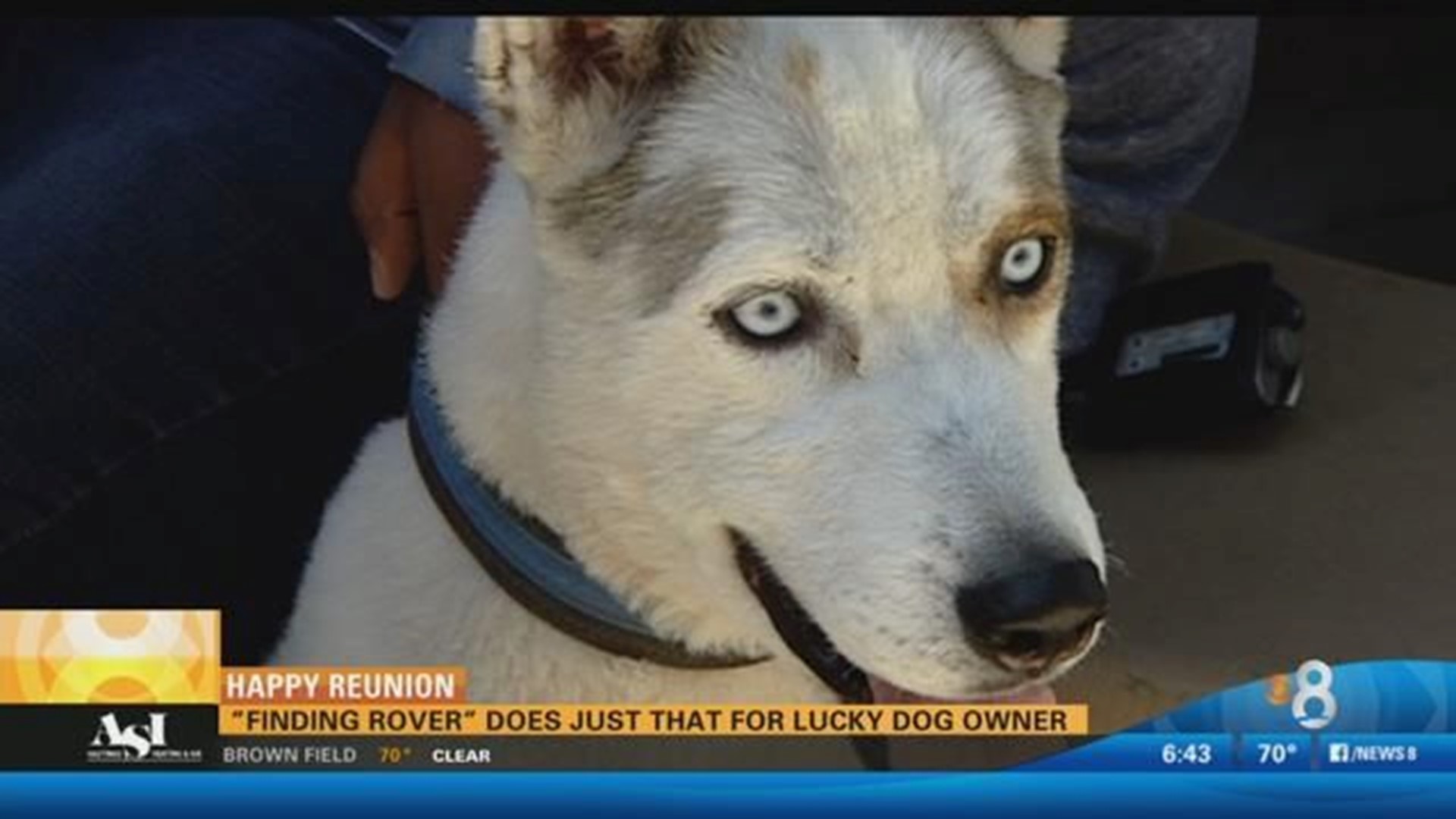 The Finding Rover app | cbs8.com