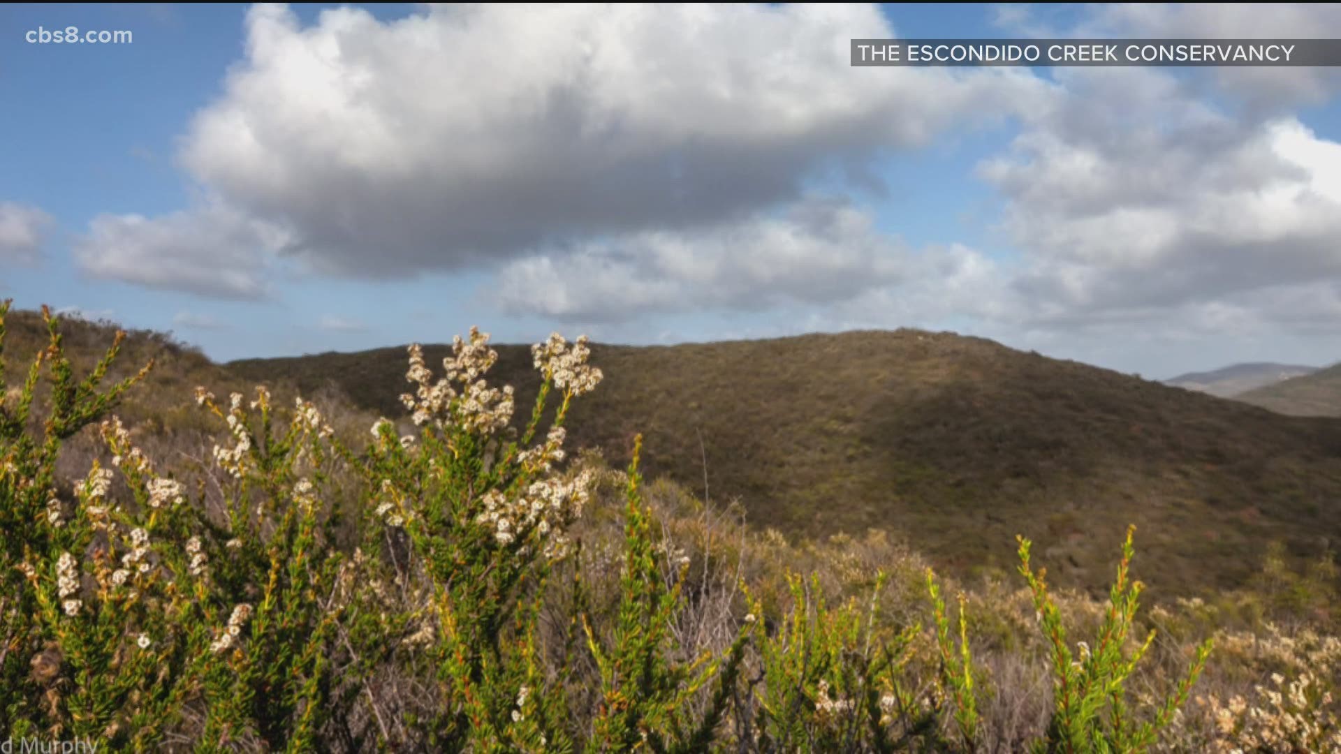 The main purpose of the LeoMar Preserve is to restore the balance of San Diego County's ecosystem protecting the endangered species and the plants.