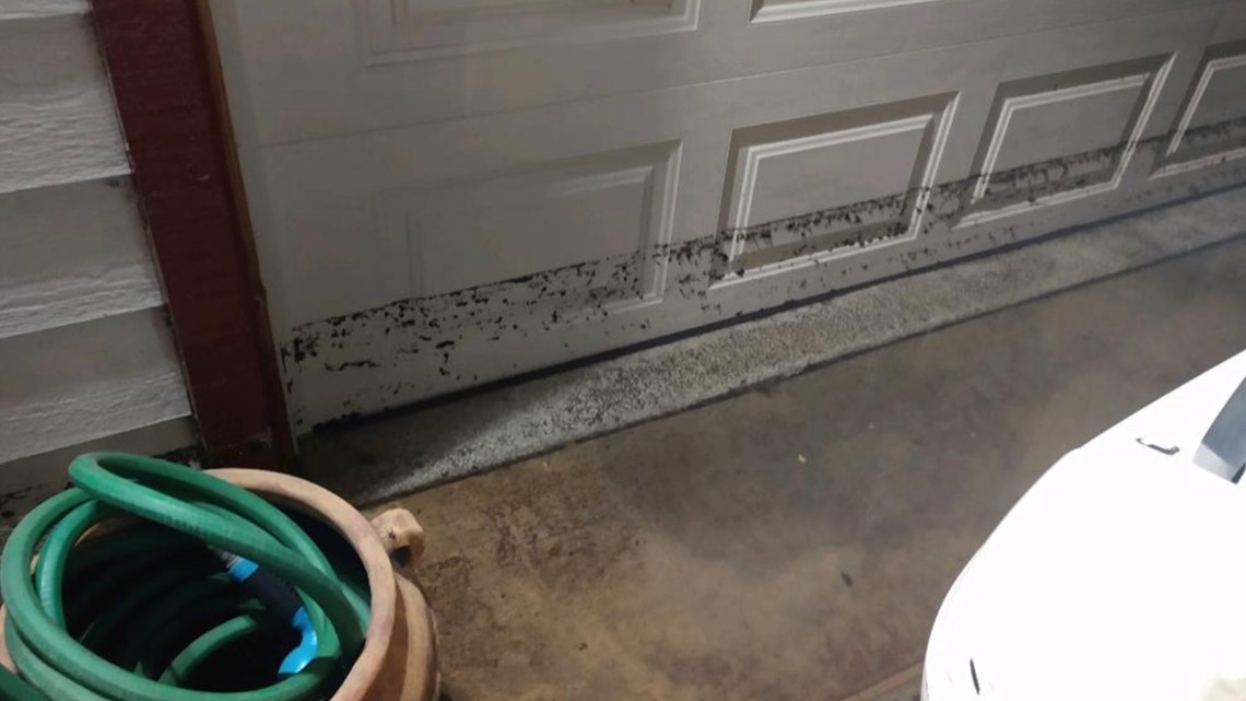 San Diego Airbnb Host Accuses Group Of Marines Of Trashing Her Home 2325