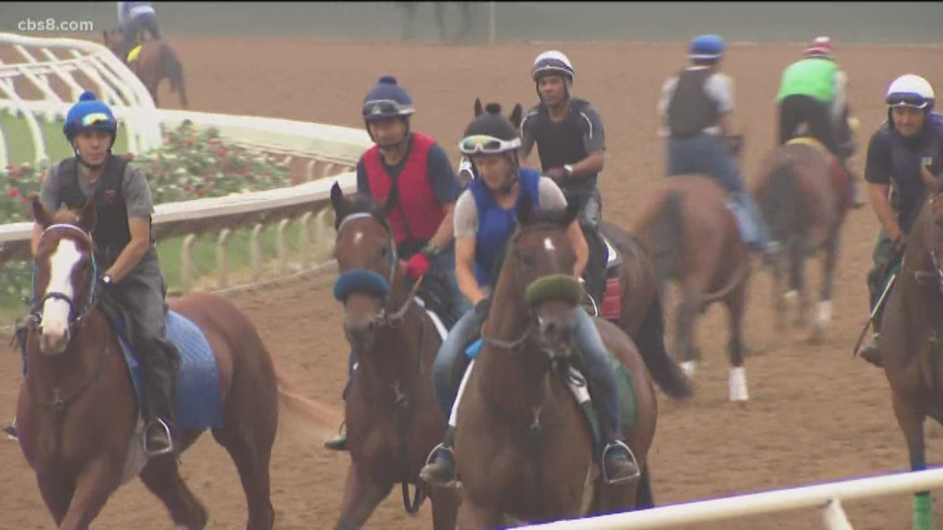 Track officials say the two horses collided on the track during Thursday morning's workout.