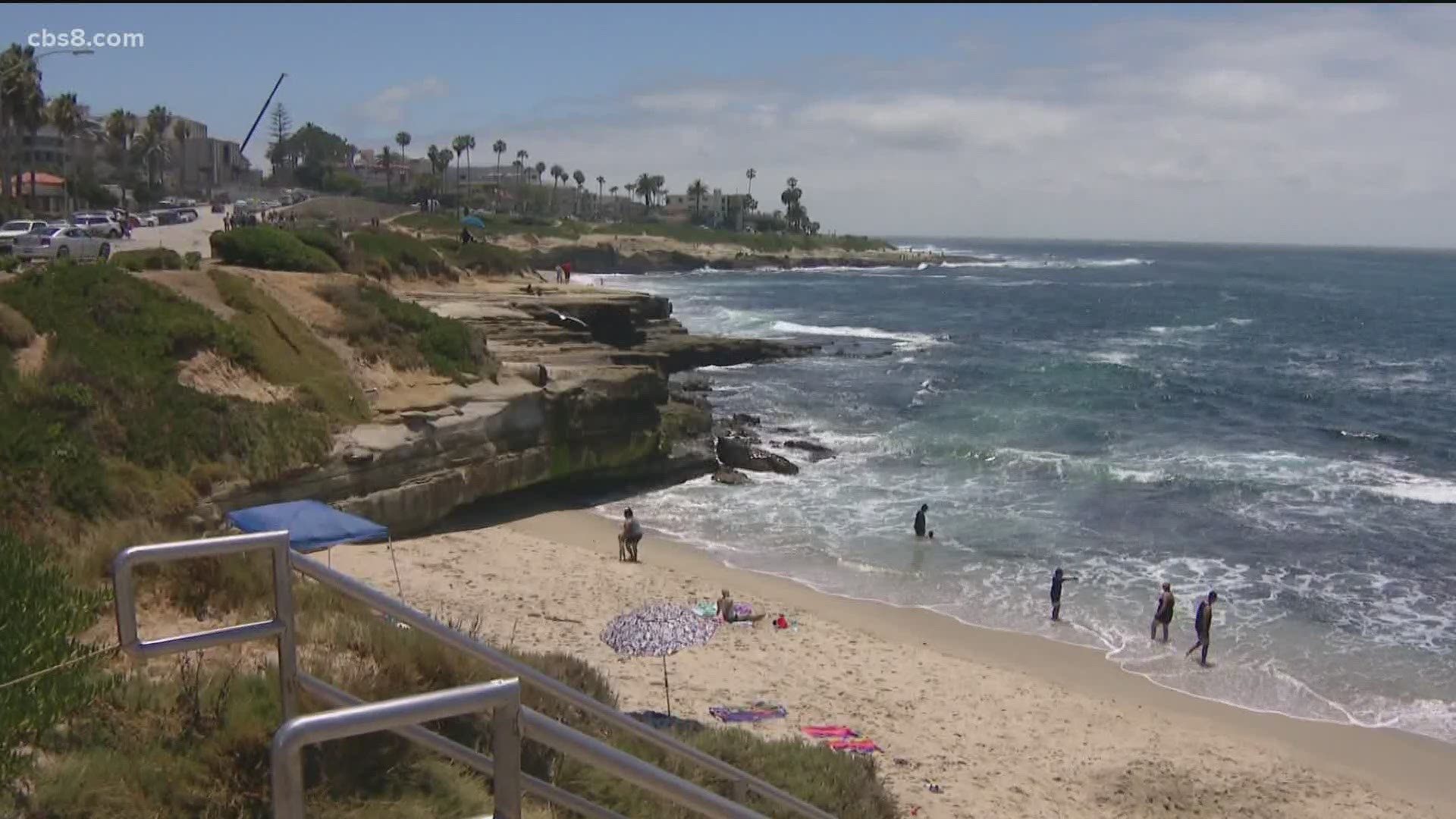 Pet rescues at the beach are adding to the mounting calls San Diego lifeguards are getting.