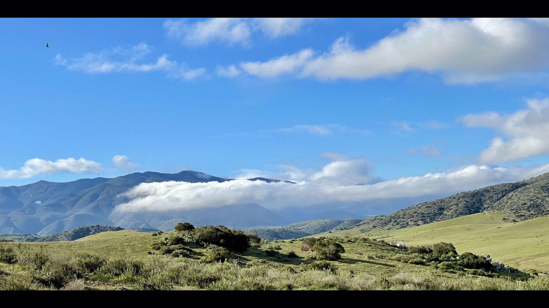 Share weather videos photos of San Diego | cbs8.com