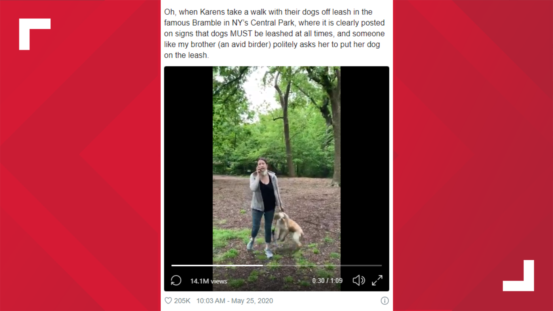 Viral video shows white woman calling cops on black man because he(00)