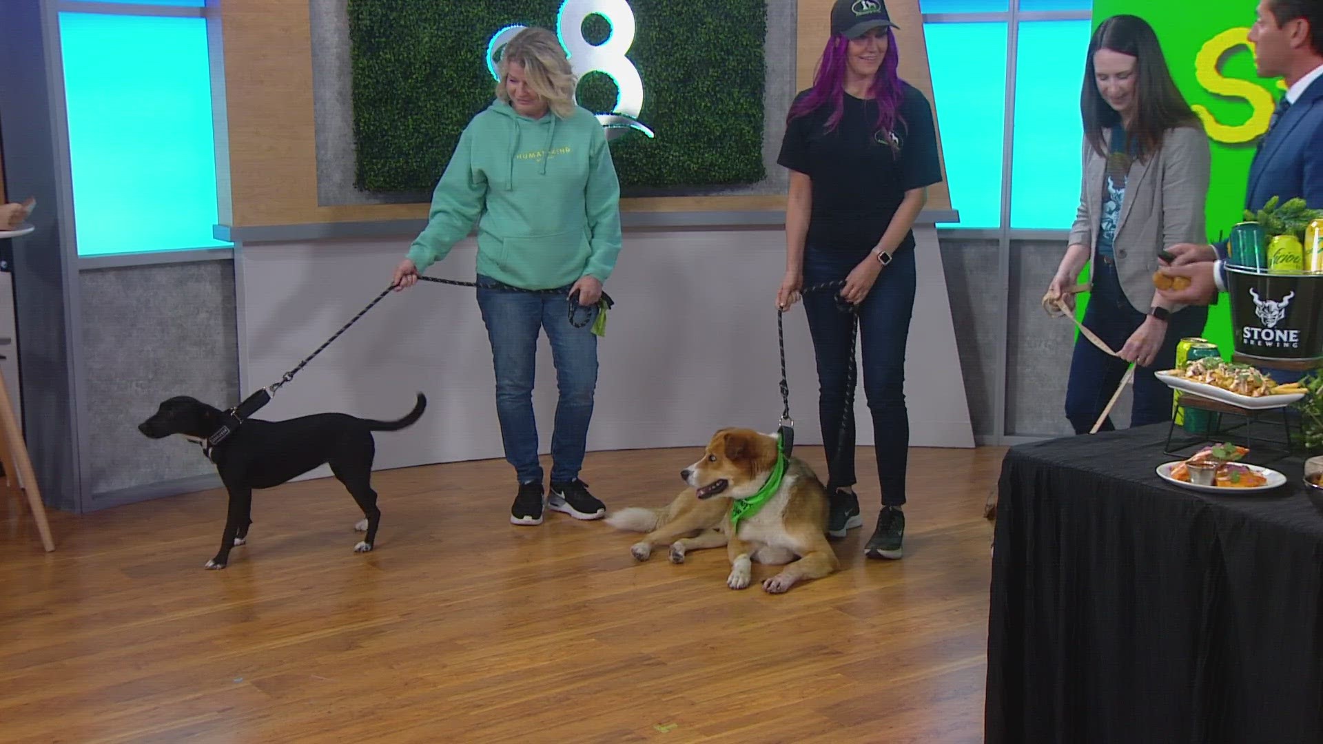 Lizzie Youngkin, Chef Israel, Marites Cotillon and Elise Hicks talked about St. Pawtrick’s Day, how people can participate and why Stone got involved with rescues.
