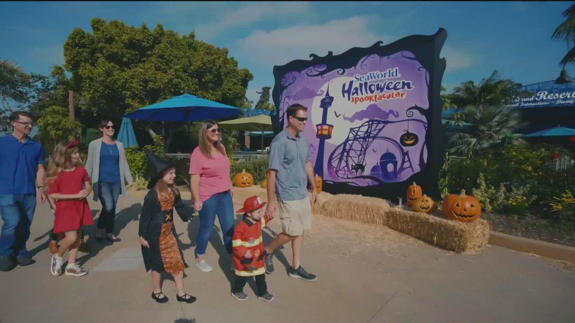 Take a sneak peek at all of SeaWorld's Halloween festivities