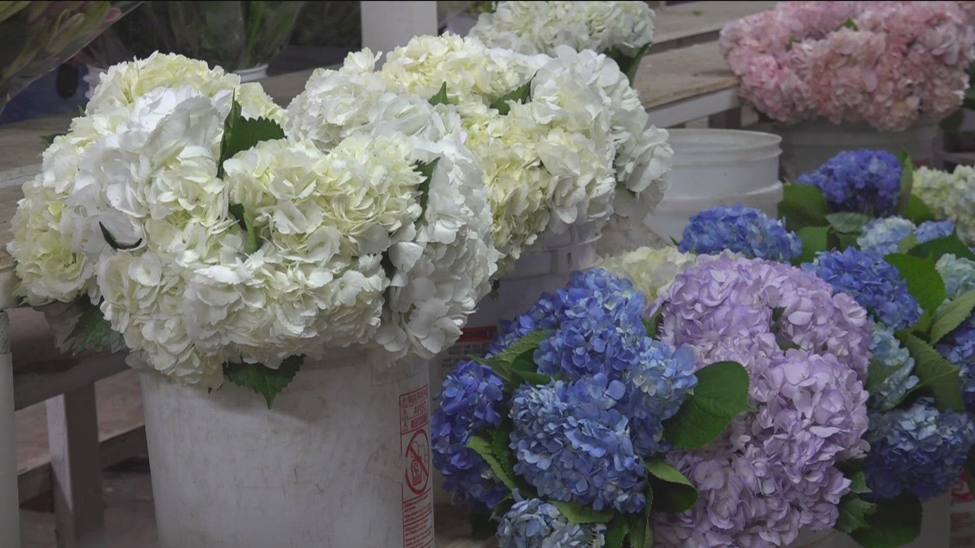 CBS 8's Elizabeth Sanchez reports on Mother's Day spending amid economic uncertainty and the impact of tariffs.
