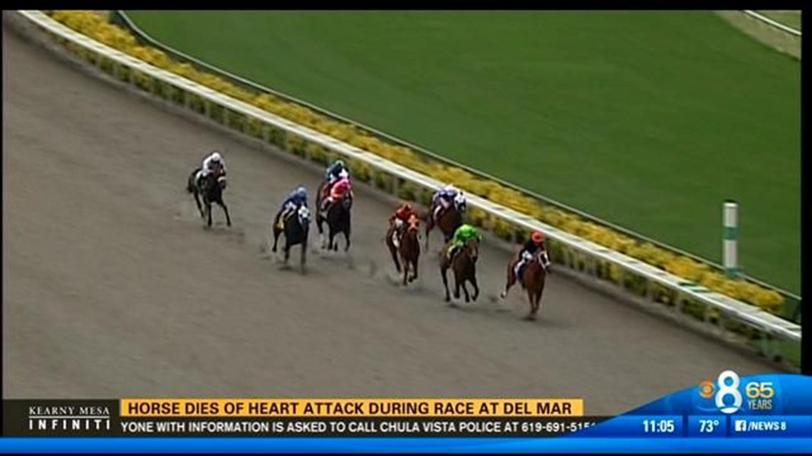 Horse dies of heart attack during race at Del Mar