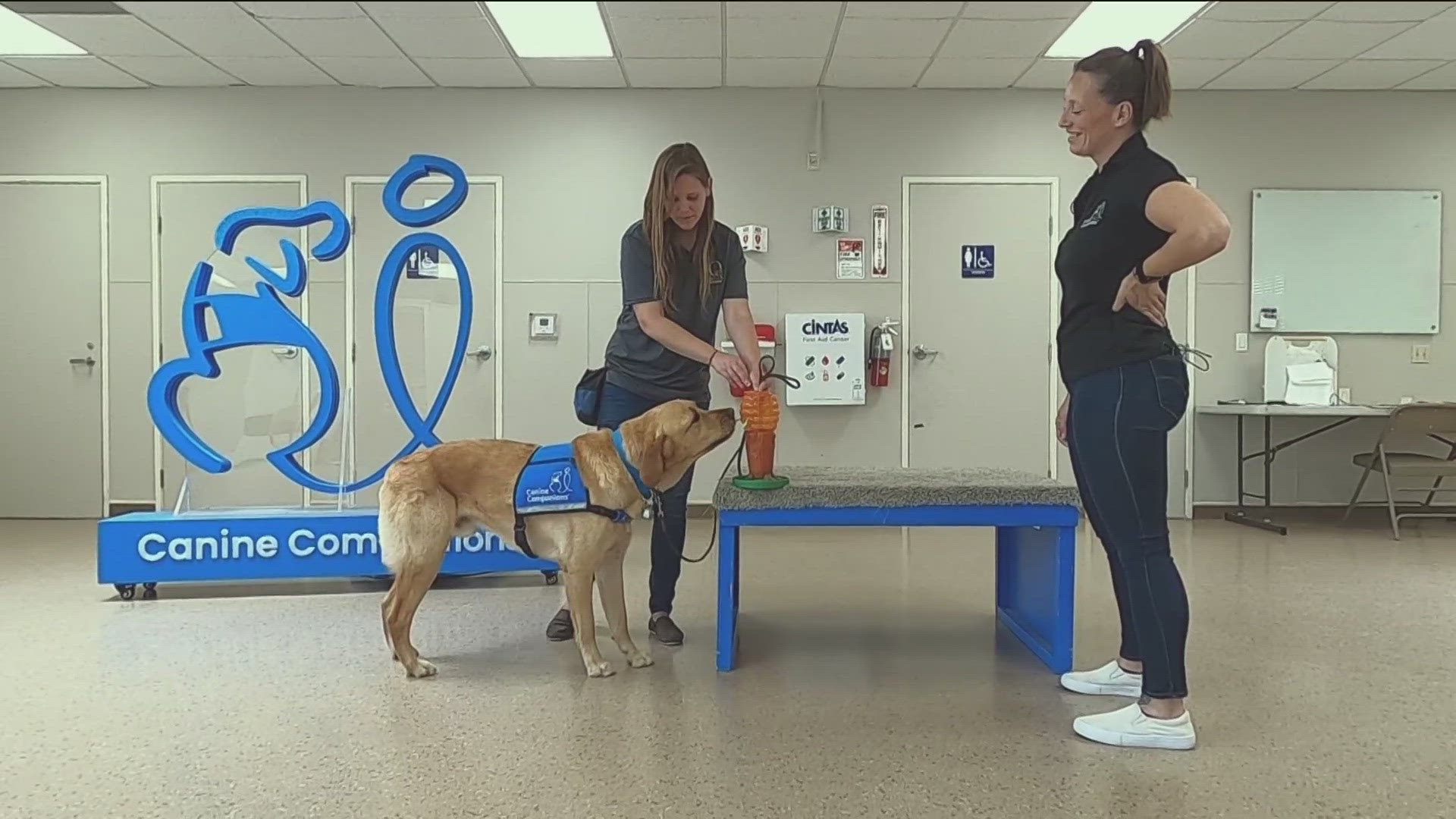 Puppies undergo early socialization training before professional facility dog training. Working Fur Kids Give-A-Thon donations needed to launch program.
