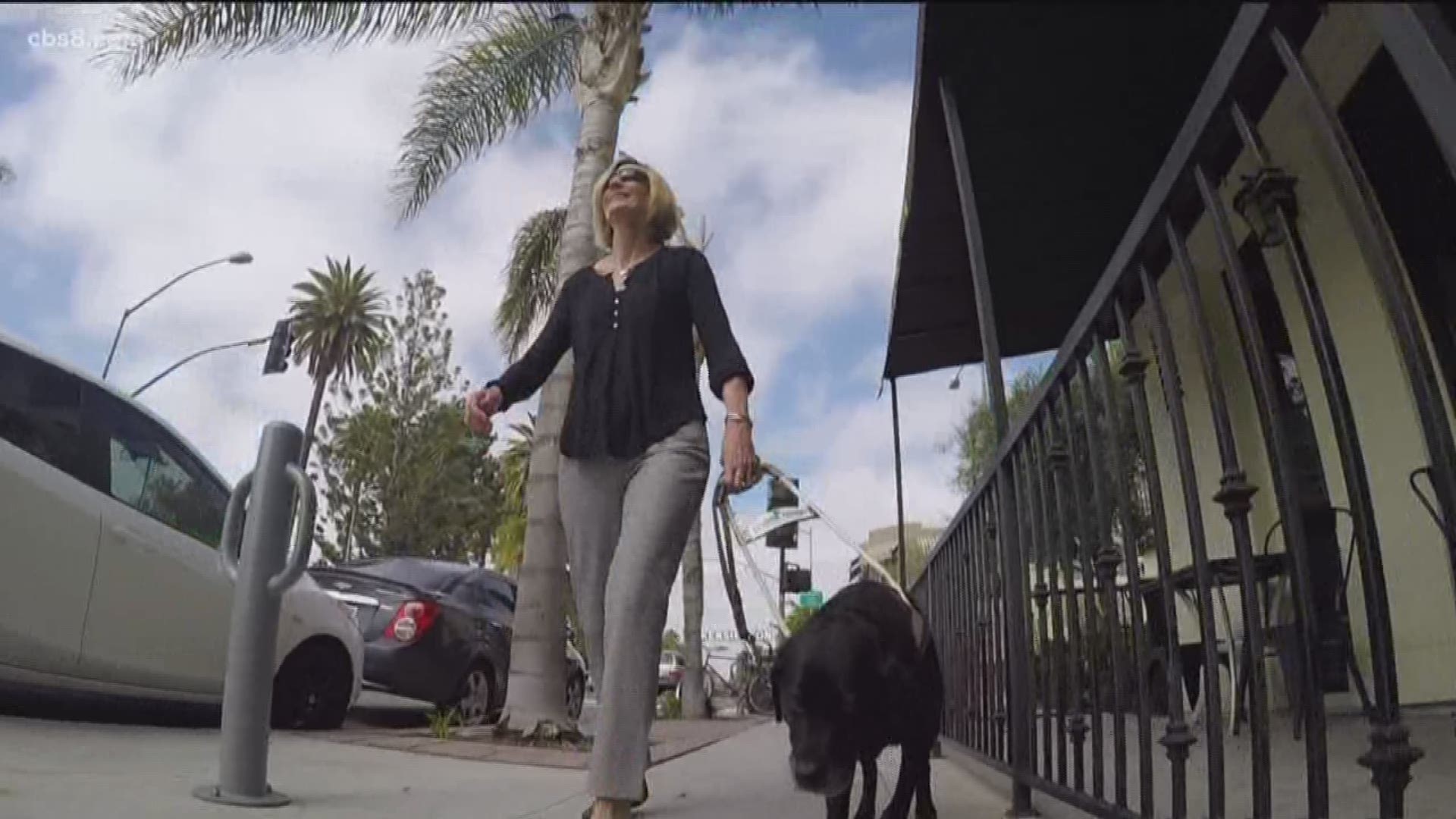 For Kelly Egan and her guide dog, Hope, a simple task like crossing the street can be very scary.