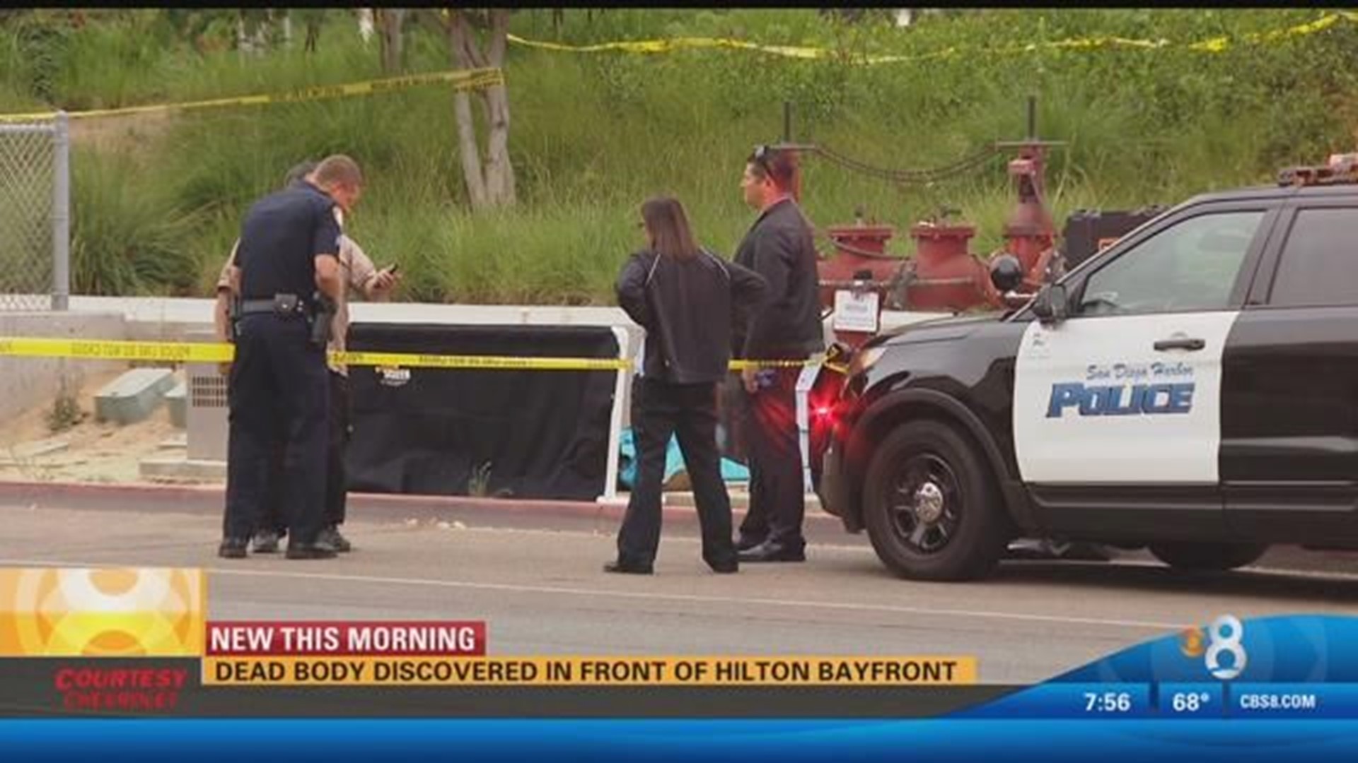 Dead body discovered in front of Hilton Bayfront