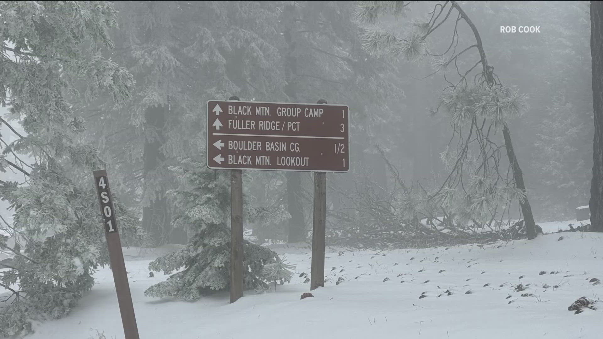 Battling Parkinson's, hiker Rob Cook found unexpected strength in fellow travelers during his Pacific Crest Trail journey, despite pausing at mile 314 to recover.