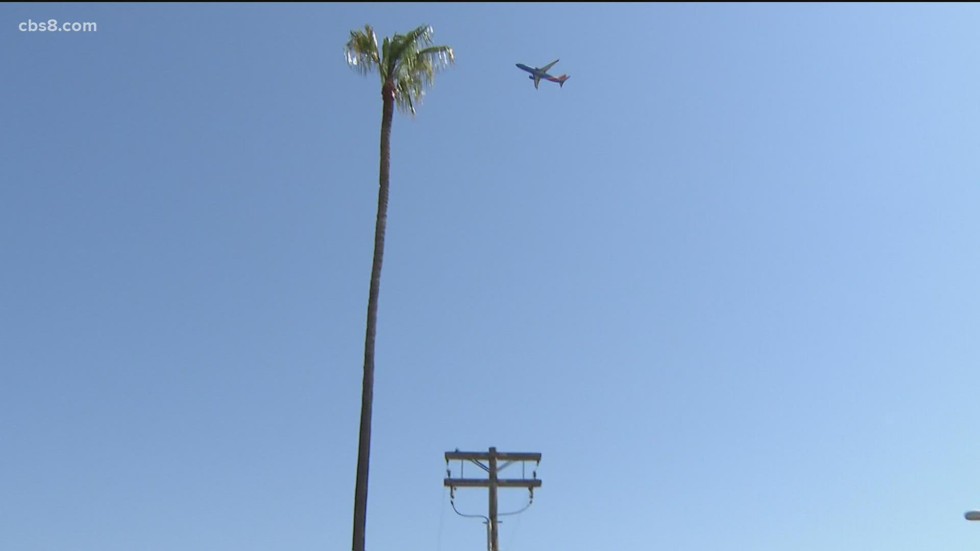 The city says they were ordered to remove the trees because they presented an urgent threat to flight paths and aviation. Some residents don't buy it.