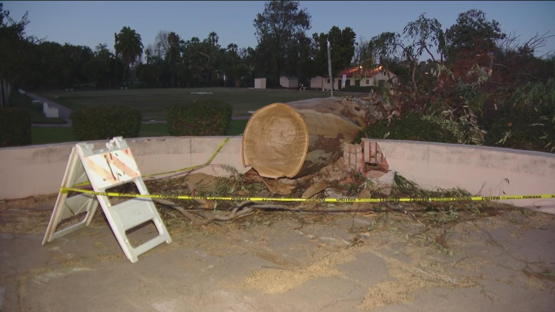 Officials have closed several parks fearing downed trees could wreak further havoc across as gusty winds sweep San Diego county.