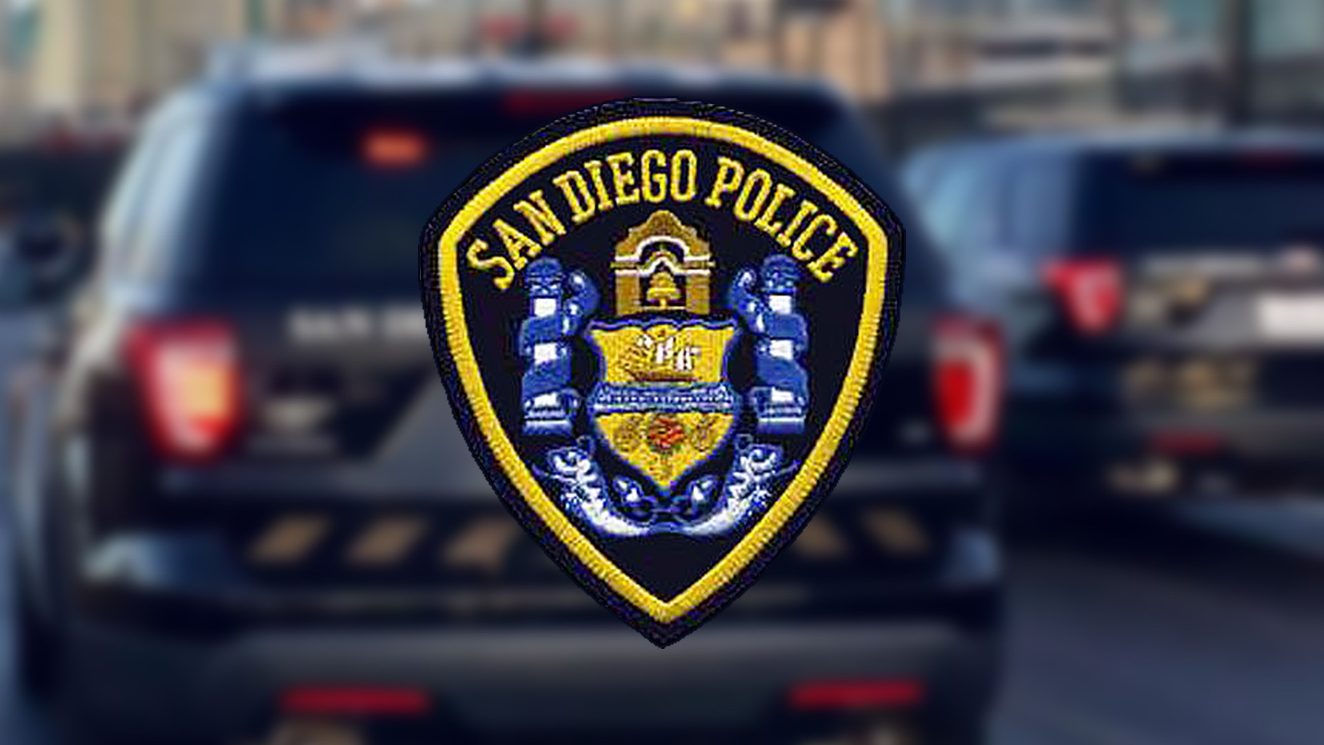 “We have supported oversight for years and still do. I think that it's an important component to a job like ours," said Det. Jack Schaeffer, President of the SDPOA.