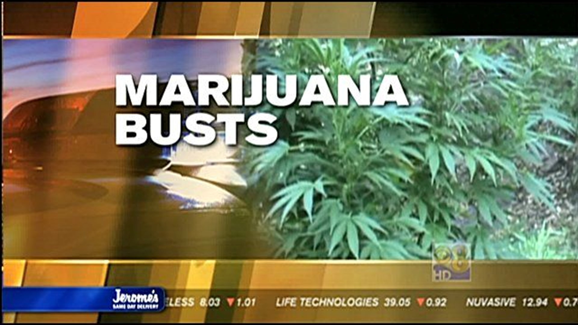 Nearly 200,000 marijuana plants seized in San Diego County this year