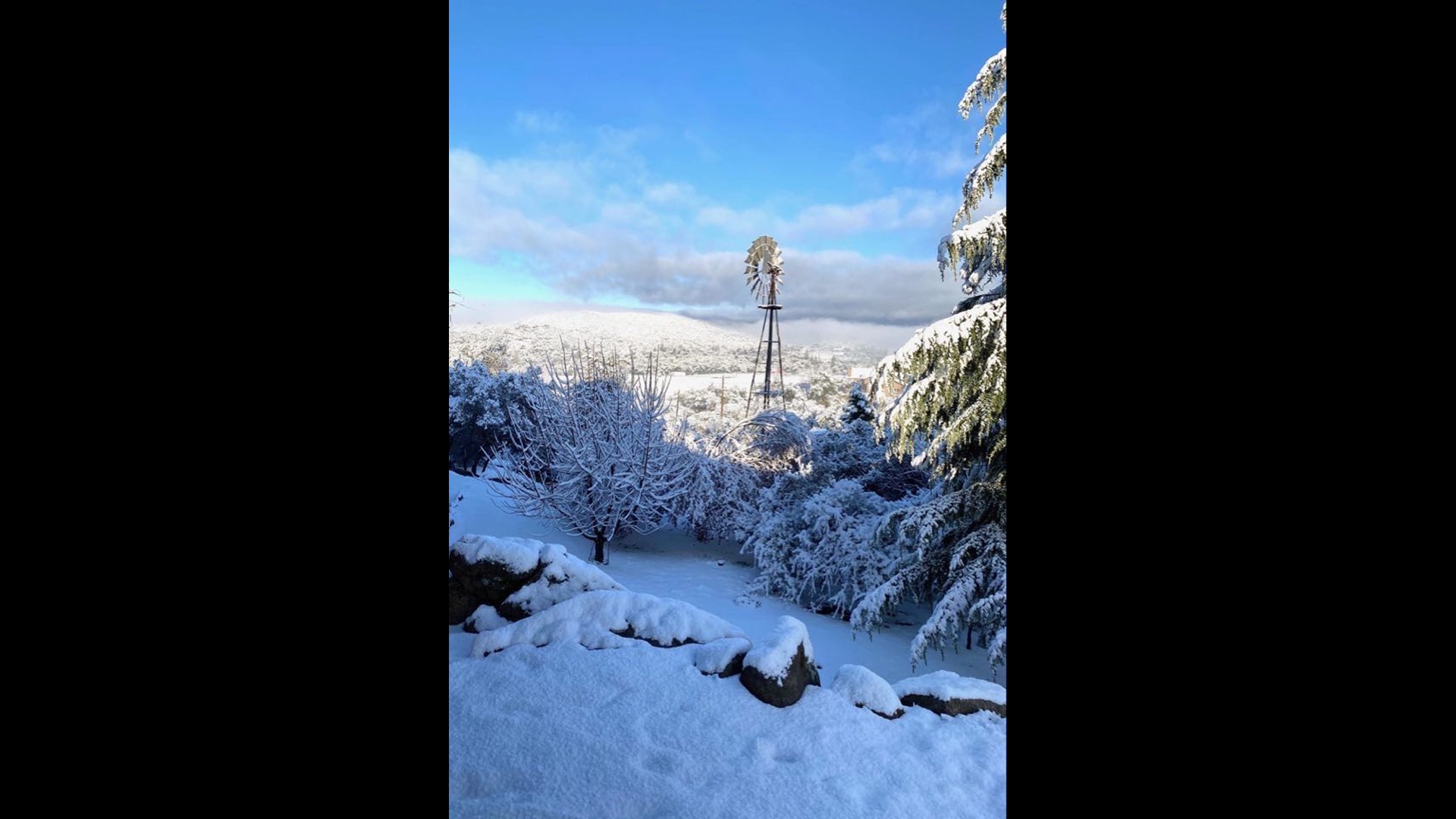 Virtually watch the snow in Julian, CA