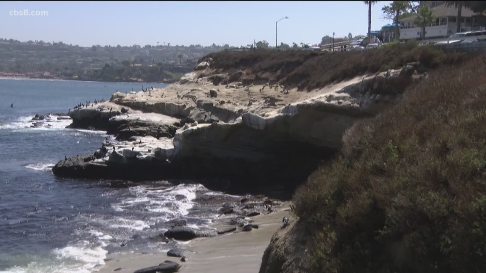 The City of San Diego on Friday began an emergency construction project to stabilize a cliff area and roadway in La Jolla following an analysis by geology experts. The City of San Diego on Friday began an emergency construction project to stabilize a cliff area and roadway in La Jolla following an analysis by geology experts.