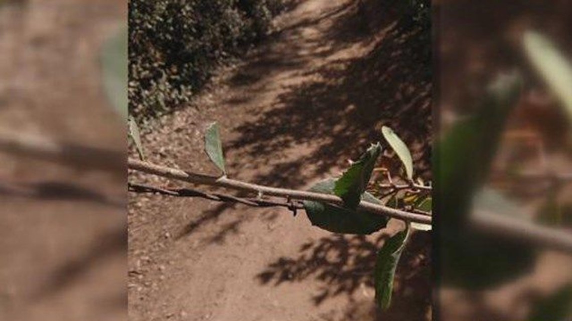 Gas Prices San Diego >> Your Stories Investigation: Barbed wire found on Lake ... Gas Prices San Diego >> Your Stories Investigation: Barbed wire found on Lake ...