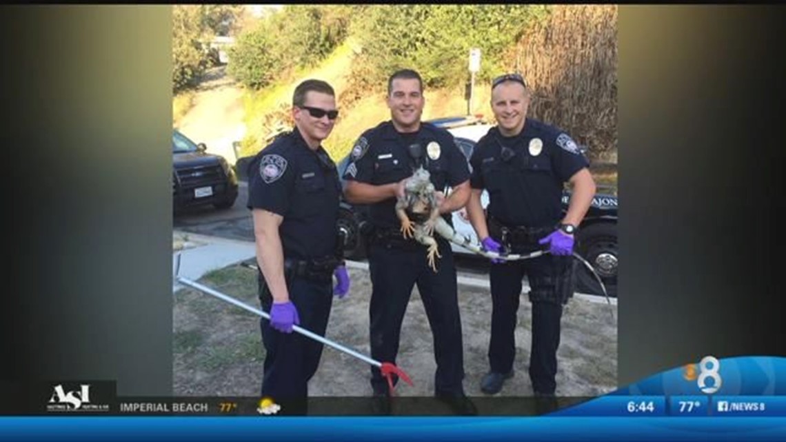 El Cajon Police subdue a scaly suspect