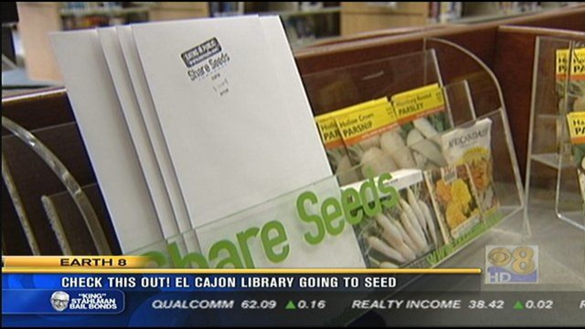 Check this out! El Cajon library going to seed