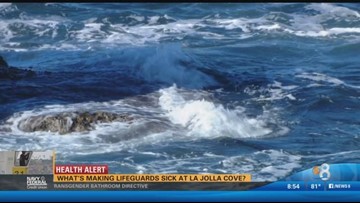 What S Making Lifeguards Sick At La Jolla Cove Cbs8 Com