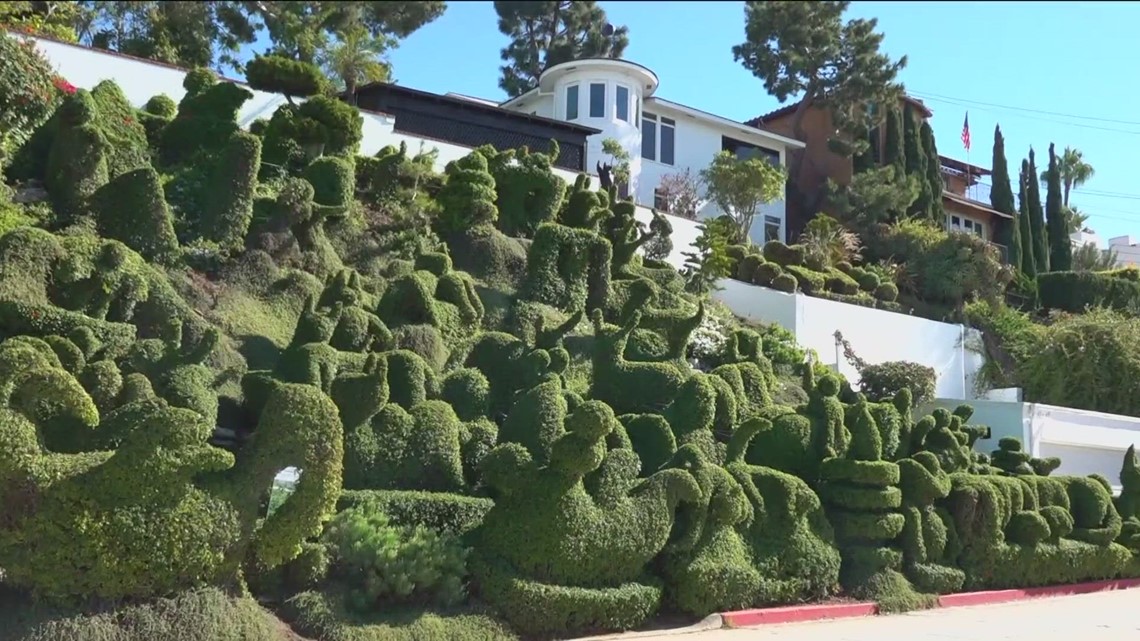 San Diego woman designs unique home garden - Vimarsana News