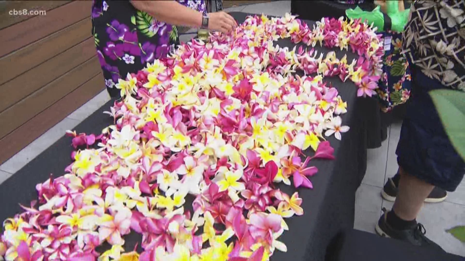 Enter your plumeria at the 20th Annual Hawaiian Plumeria Festival