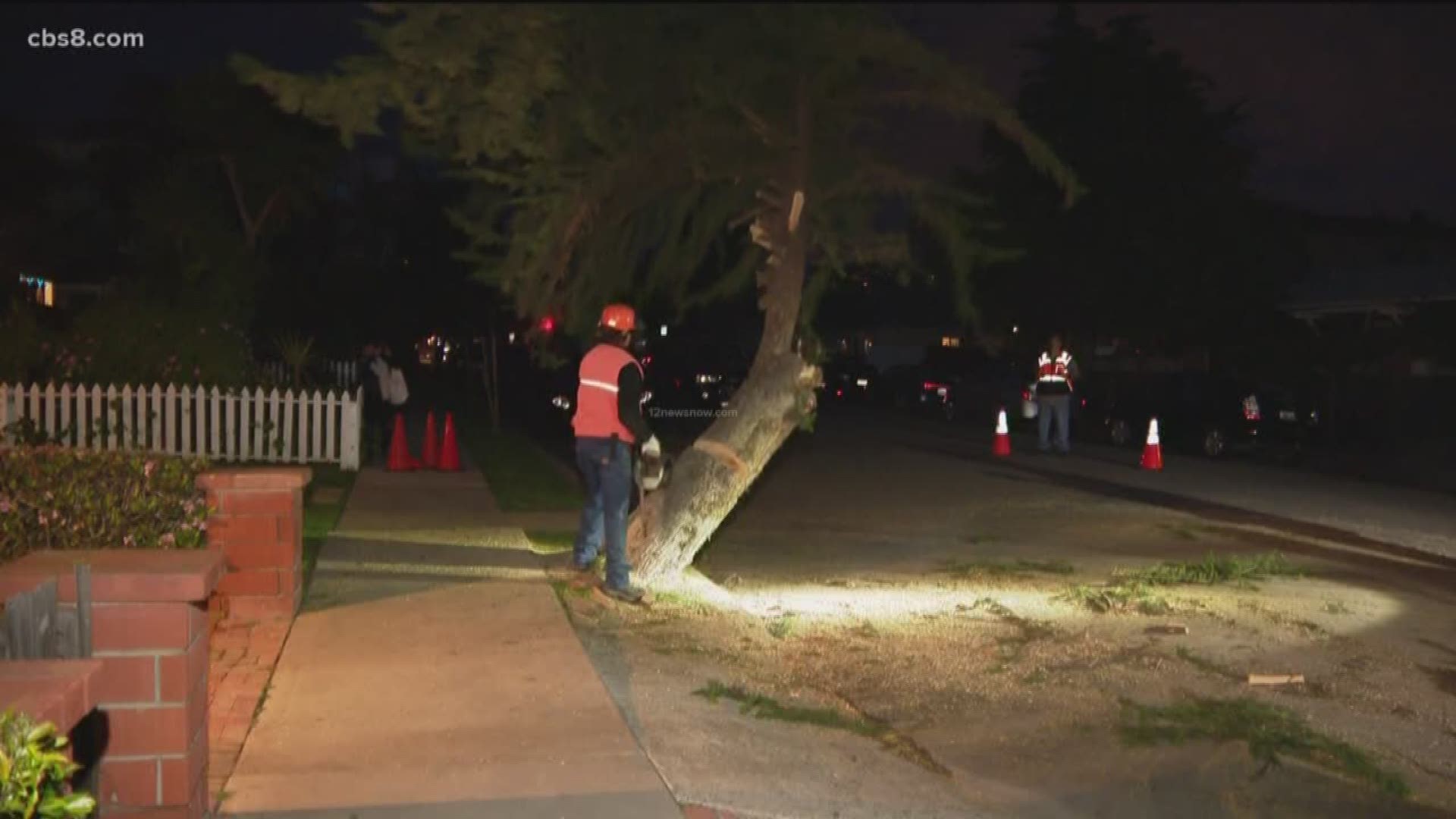 After months of complaints city workers remove leaning Monterey Cypress tree in La Jolla