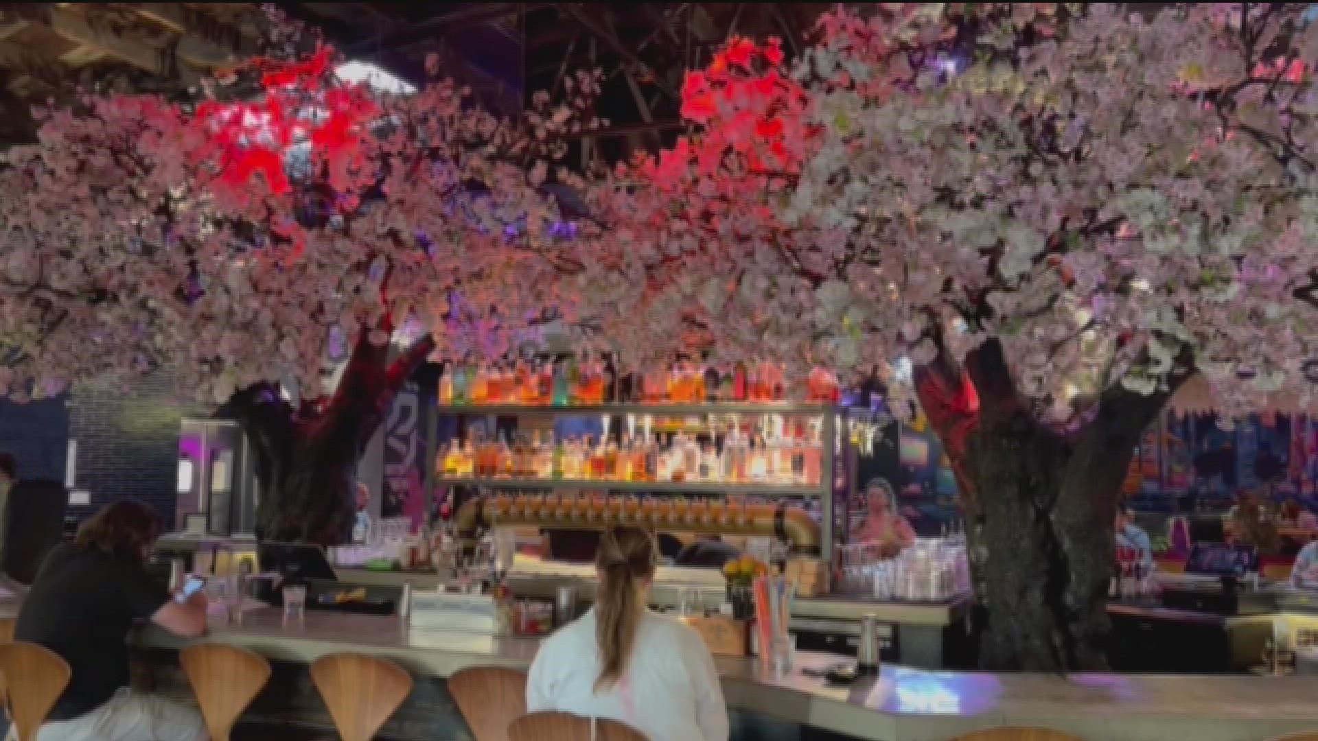 It's a Japanese fusion restaurant in Little Italy. They are known for the big cherry blossom trees inside the business.