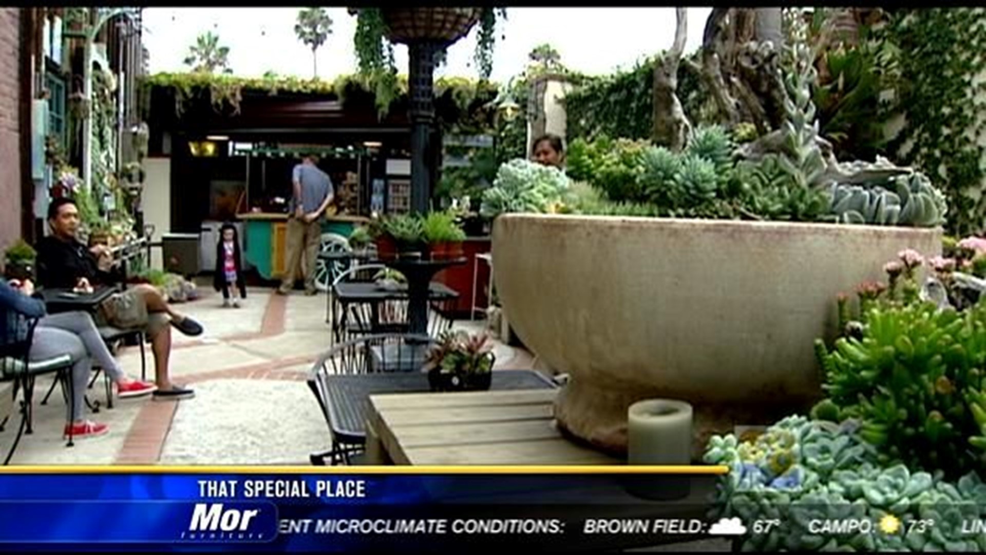 Succulent Cafe: That special place