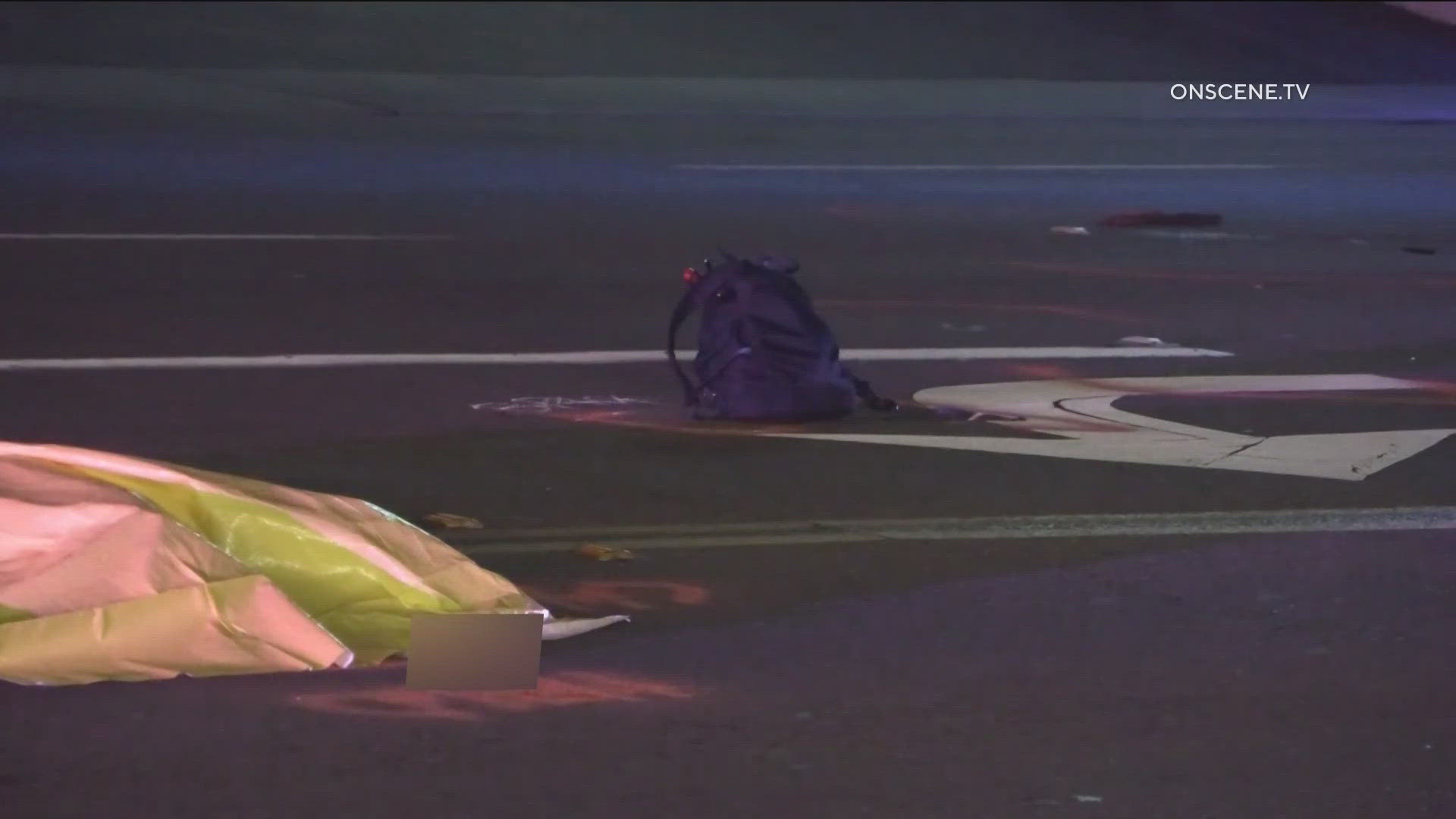 National City man pleads not guilty in deadly hit-and-run case | cbs8.com