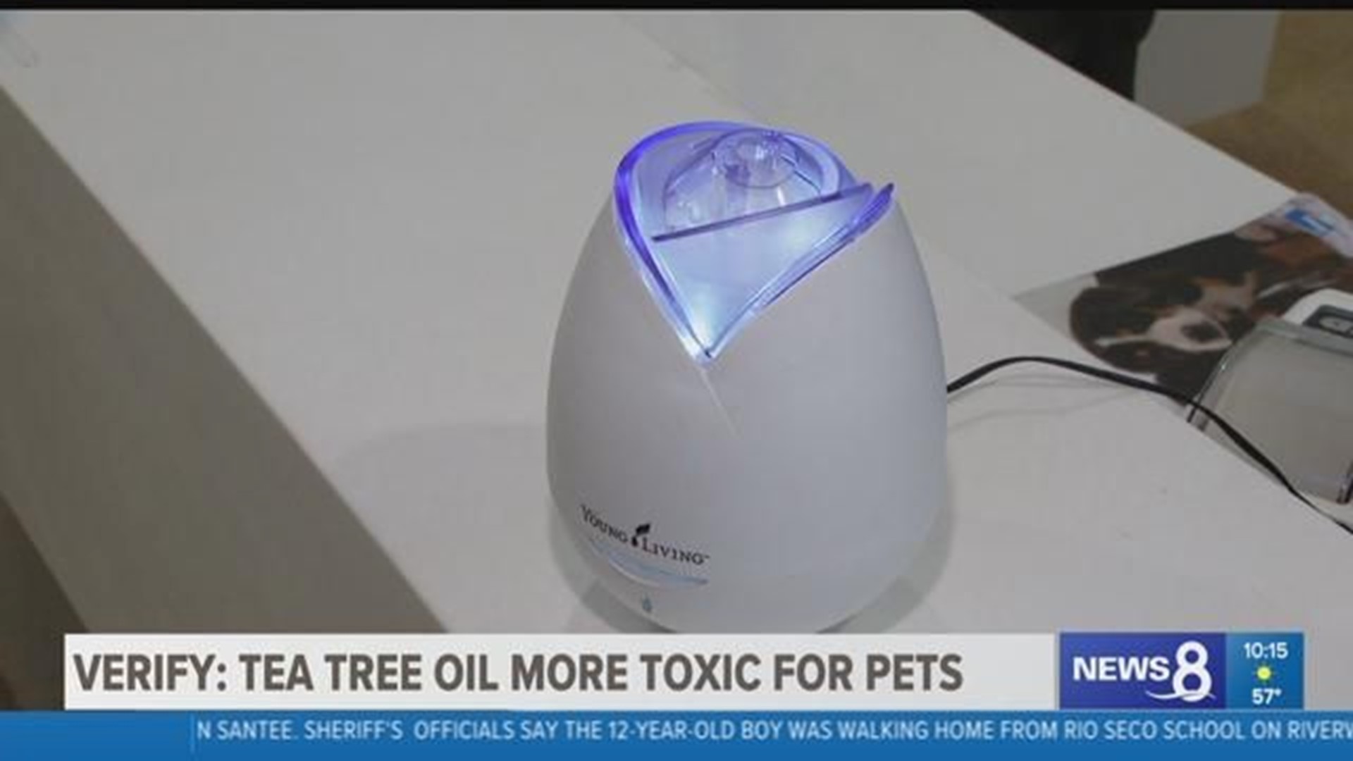 VERIFY: Are essential oils toxic to pets? | cbs8.com