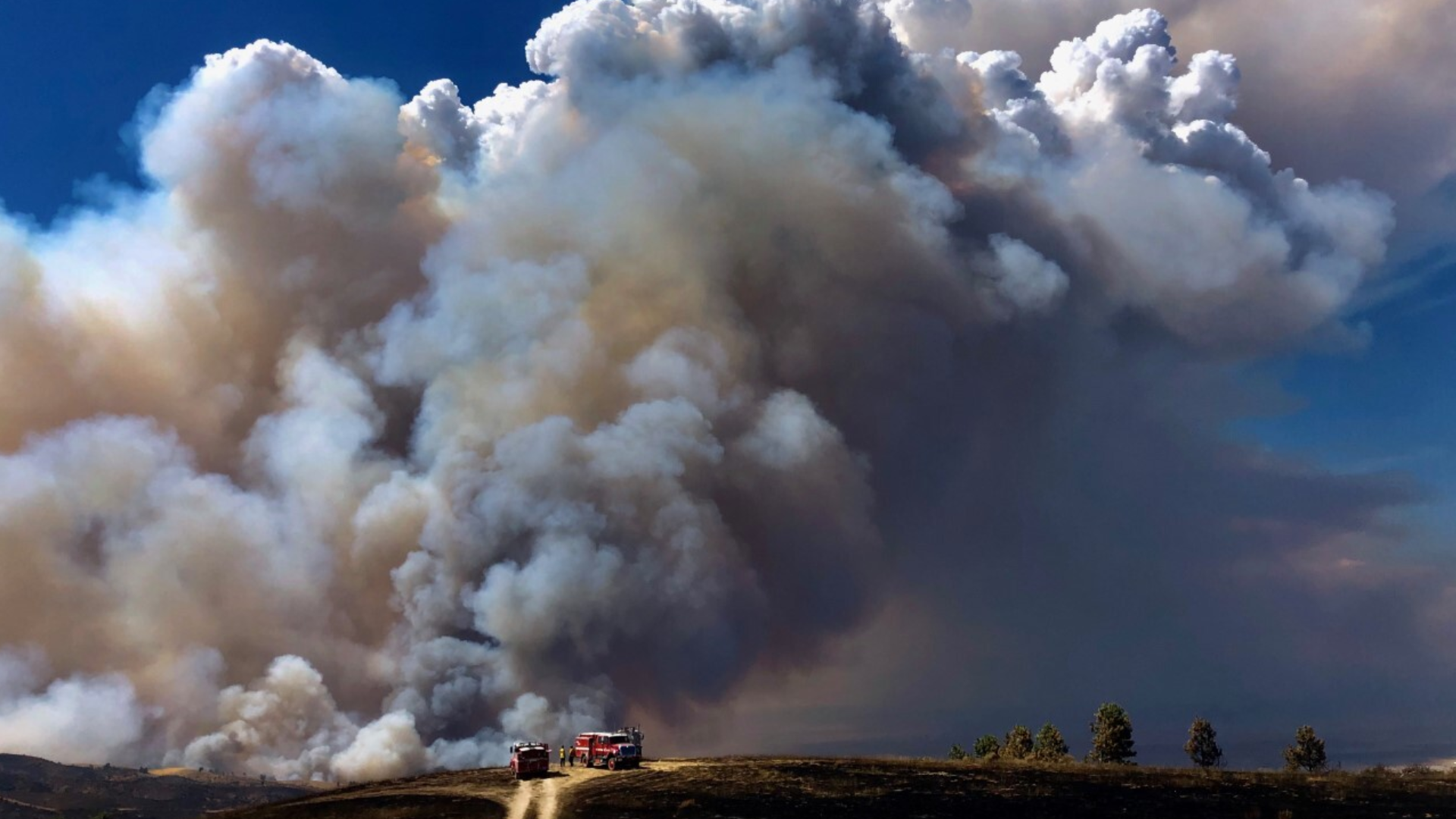 Governor declares state of emergency in California due to fires ...