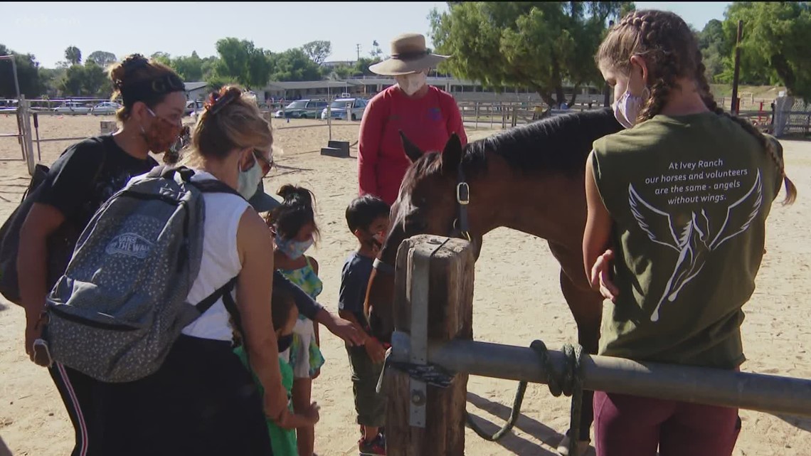 Equine therapy for healthcare workers and first responders in North