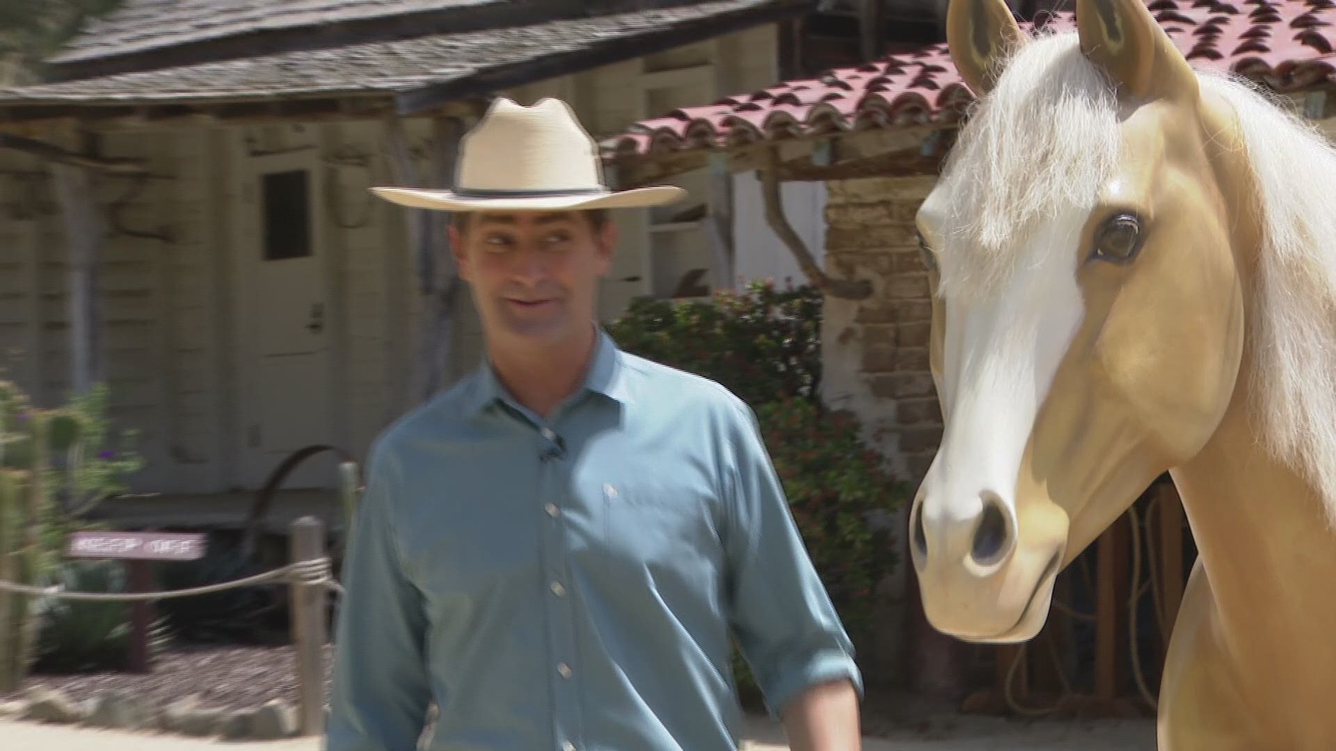 Meet 'Amigo' her fiberglass life-sized horse.