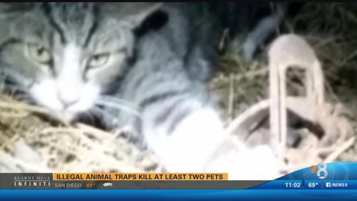 Illegal animal traps kill at least two pets