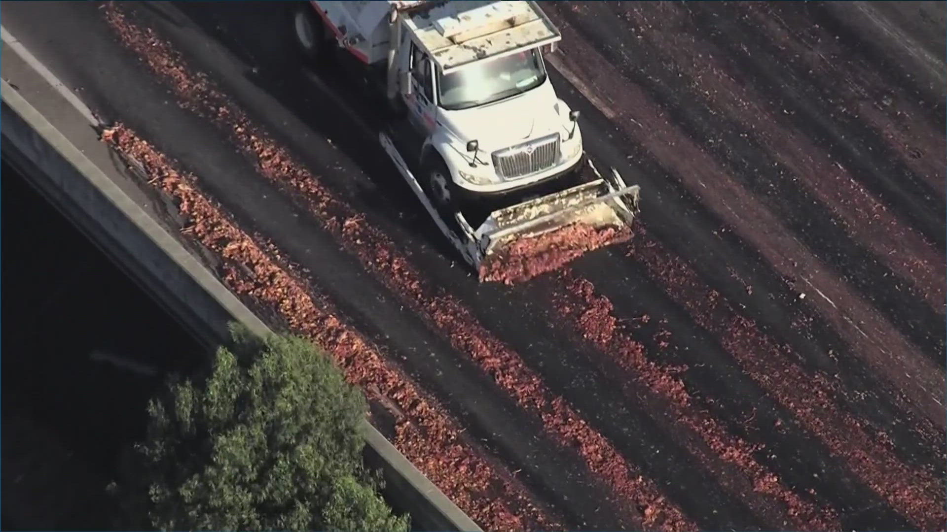 According to California Highway Patrol, a truck was hauling meat on I-880 when the load spilled out and onto several lanes Friday.