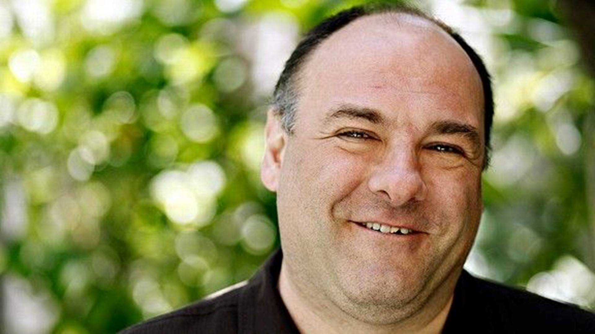 'Sopranos' star James Gandolfini dead at 51(02)