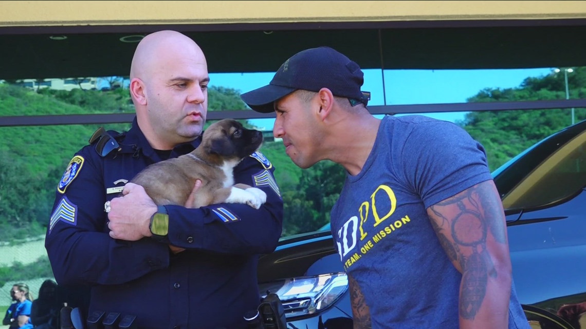 San Diego police officers find stress relief through puppy therapy as wellness program addresses mental health